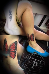 received_2383313001685627